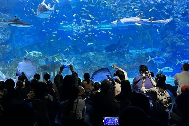 skip-the-line-the-greatest-urban-aquarium-coex-ticket-naeguginbulga_1